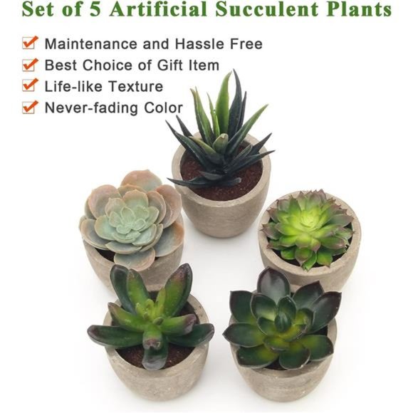 5 Pack Potted Artificial Succulent Plants Assorted Decorative Faux Fake Decor - Picture 3 of 6